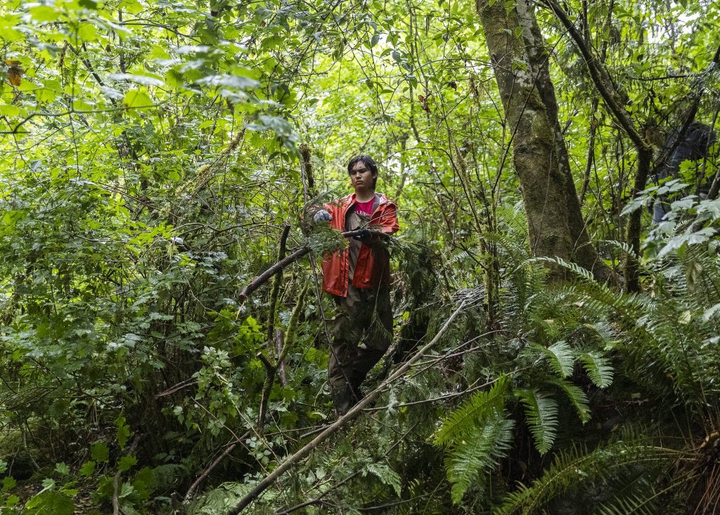 Luca Chakarravarti moves branches to be used for an analog beaver dam on Wednesday, Aug. 6, 2025 in Everett, Washington. (Olivia Vanni / The Herald)