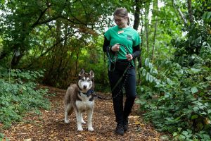 Birch, who was an owner surrender and now currently has an adoption pending, pauses on a walk with volunteer Cody McClellan at PAWS Lynnwood on Thursday, Aug. 7, 2025 in Lynnwood, Washington. (Olivia Vanni / The Herald)