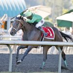 Slew's Tiz Whiz wins the 2022 Longacres Mile. He'll try again on Sunday for a second victory in Emerald Downs' top race. (Photo courtesy Emerald Downs)