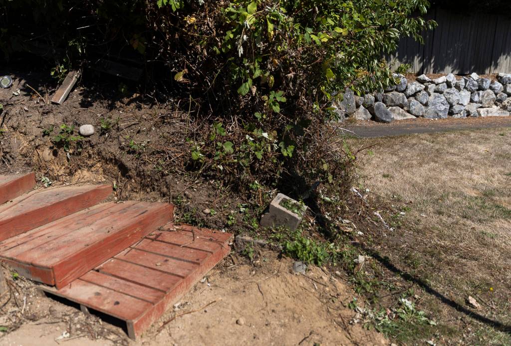 The paved sidewalk stops south of the red wooden pathway stairs along Bickford Avenue on Thursday, Aug. 21, 2025 in Snohomish, Washington. (Olivia Vanni / The Herald)