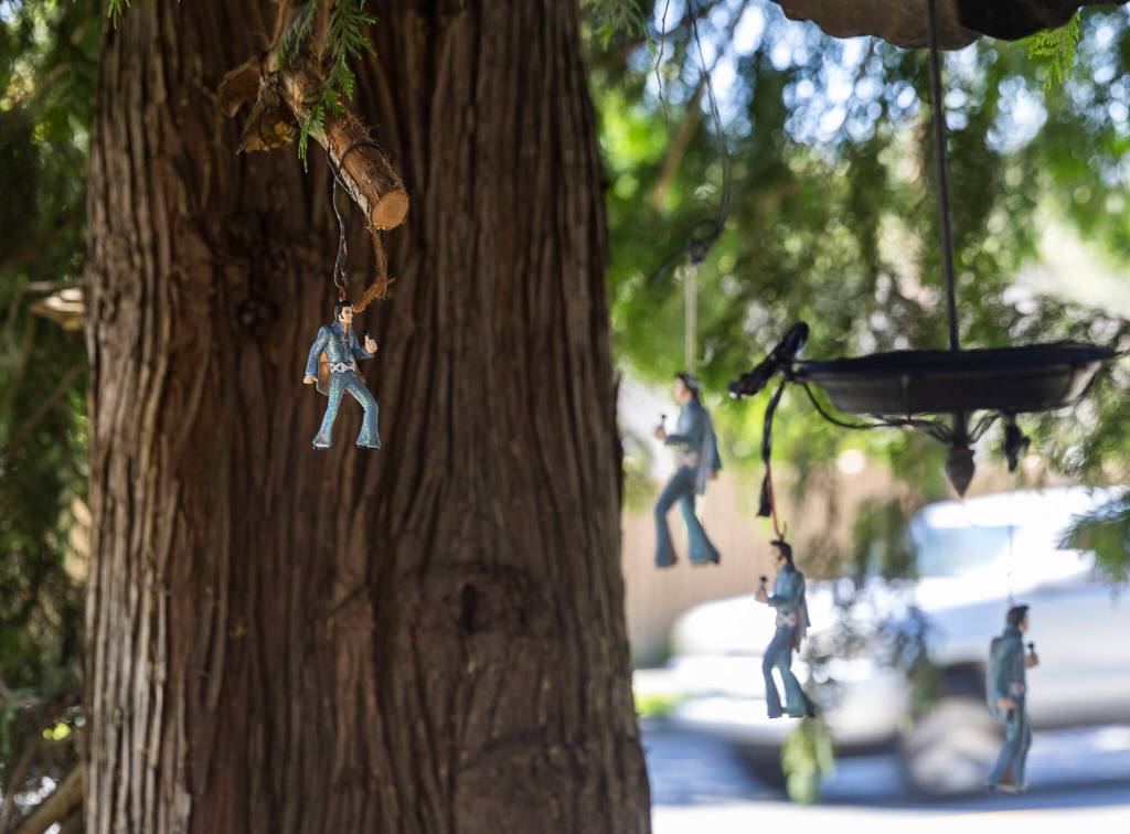 Small Elvis figures hang as decorations from a tree along the red wooden pathway on Thursday, Aug. 21, 2025 in Snohomish, Washington. (Olivia Vanni / The Herald)