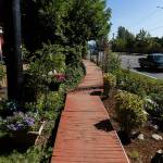Traffic moves along Bickford Avenue parallel to the red wood pathway on Thursday, Aug. 21, 2025 in Snohomish, Washington. (Olivia Vanni / The Herald)