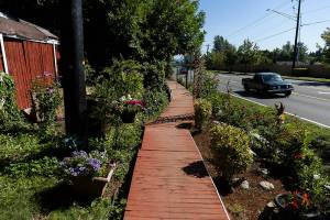 Traffic moves along Bickford Avenue parallel to the red wood pathway on Thursday, Aug. 21, 2025 in Snohomish, Washington. (Olivia Vanni / The Herald)