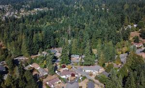 Traffic moves along Bowdoin Way past Yost Park on Monday, Aug. 25, 2025 in Edmonds, Washington. (Olivia Vanni / The Herald)
