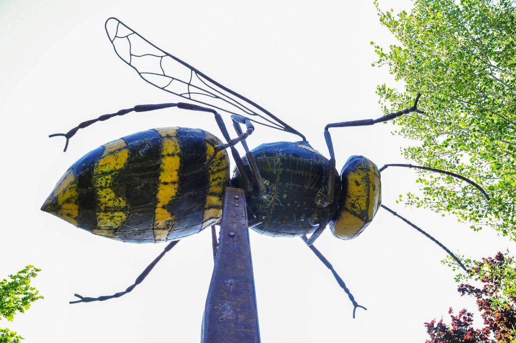 A giant metal yellow jacket named “Beeest” looms 15 feet above the Twisp Commons Park. The sculpture, by Twisp metal artist Barry Stromberger, was made mostly from old cars retrieved from the Methow River. (Sue Misao)