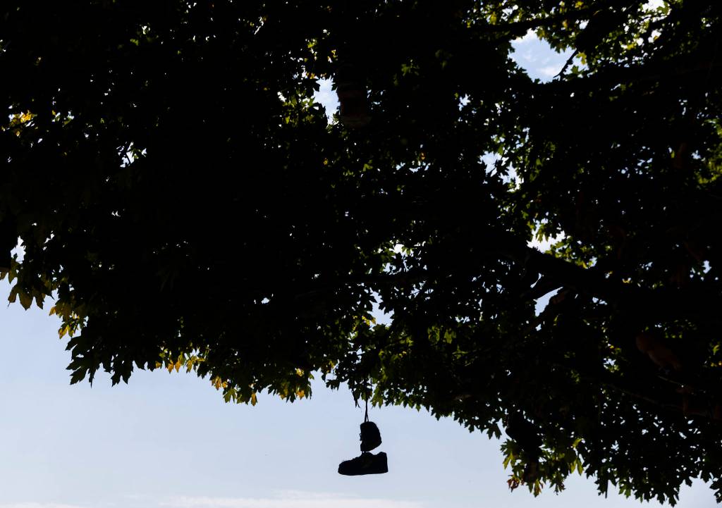 A pair of shoes hanging from a tree branch is silhouetted against the sky along Machias Road on Thursday, Aug. 28, 2025 in Snohomish, Washington. (Olivia Vanni / The Herald)