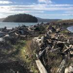 The Kukutali Preserve and Kiket Island offer an easy two-mile walk with great views of the Deception Pass Bridge. (Jon Bauer / The Herald)