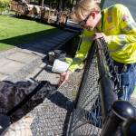 Snohomish PUD Meter Deployment Technician Colton Lindstrand says hi to a friendly dog during a recent installation.(Krysta Rasmussen/Snohomish PUD)