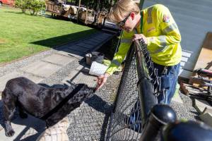 Snohomish PUD Meter Deployment Technician Colton Lindstrand says hi to a friendly dog during a recent installation.(Krysta Rasmussen/Snohomish PUD)