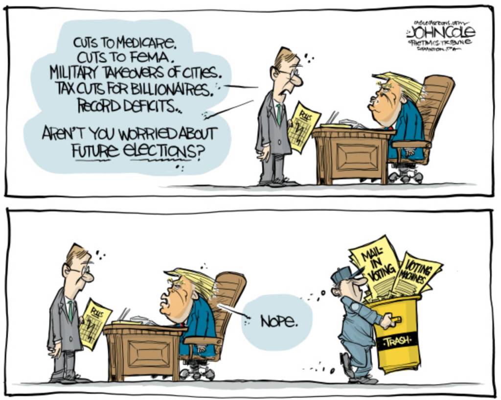 toon