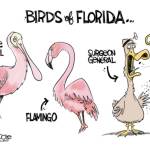 toon
