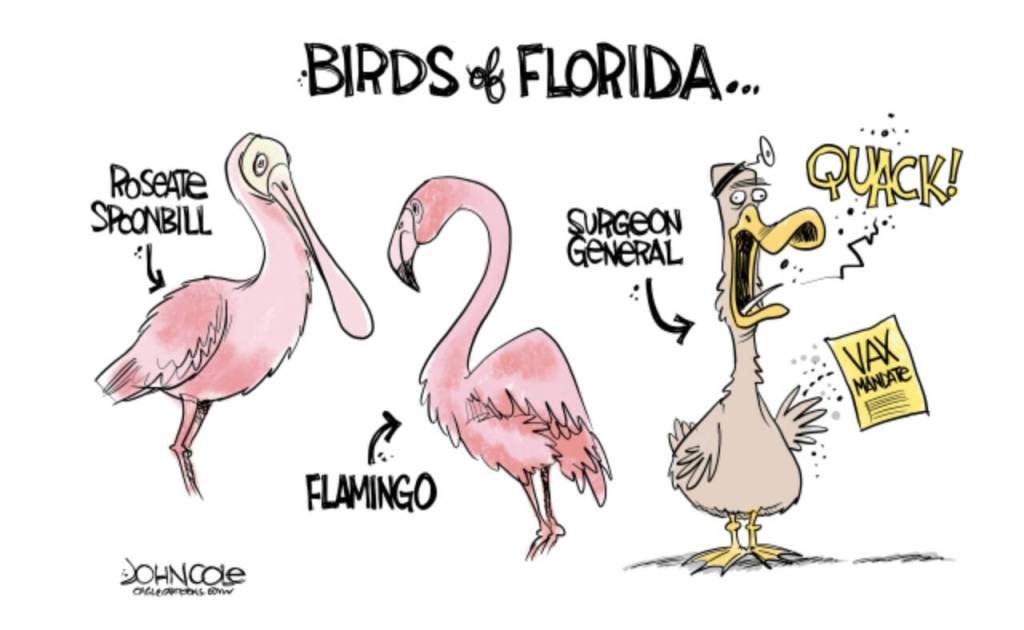 toon