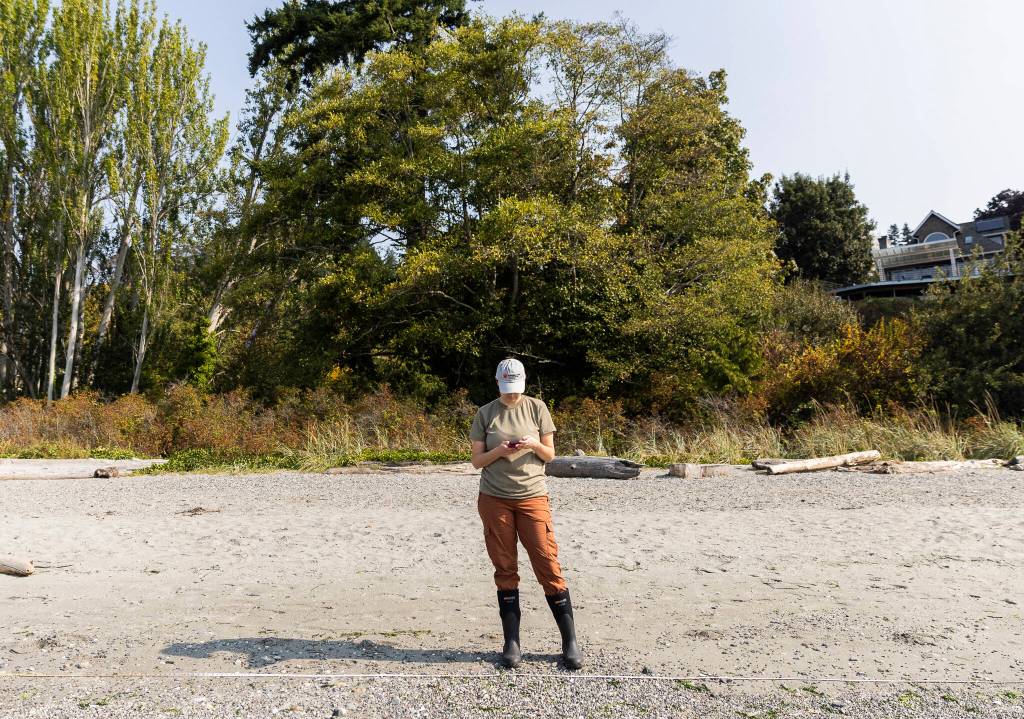 Jocelyn Blue inputs data into an online form at Picnic Point Park on Sept. 23, 2025 in Edmonds, Washington. (Olivia Vanni / The Herald)