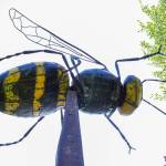 A giant metal yellow jacket named “Beeest” looms 15 feet above the Twisp Commons Park. The sculpture, by Twisp metal artist Barry Stromberger, was made mostly from old cars retrieved from the Methow River. (Sue Misao)