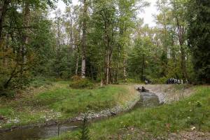 People get a tour of a new side channel built in Osprey Park on Thursday, Sept. 18, 2025 in Sultan, Washington. (Olivia Vanni / The Herald)