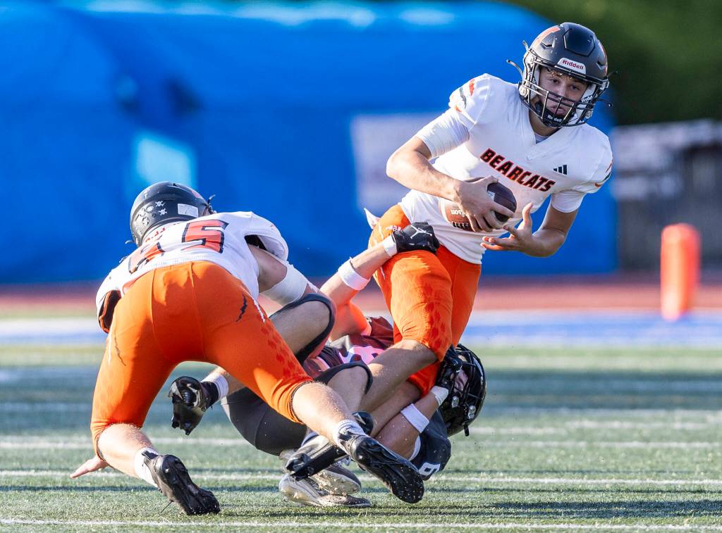 Monroes Chris Britt is sacked by Shorewoods Kyson Castellano during the game on Friday, Sept. 19, 2025 in Shoreline, Washington. (Olivia Vanni / The Herald)