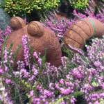 Willy the worm sits between pink and Kramers Rote heather. (Sunnyside Nursery)