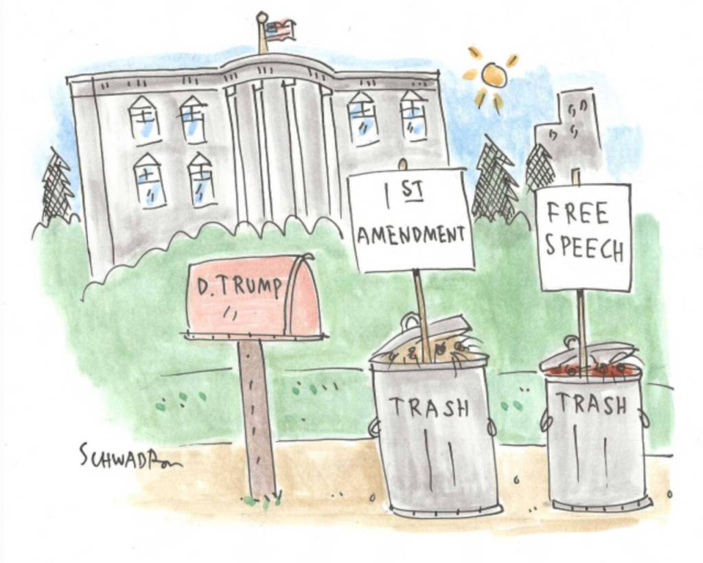 toon