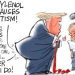 toon