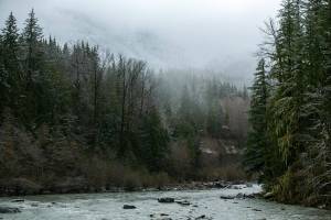 The South Fork Stillaguamish River flows out of Mount Baker-Snoqualmie National Forest on Tuesday, April 11, 2023, outside Verlot, Washington. (Ryan Berry / The Herald)