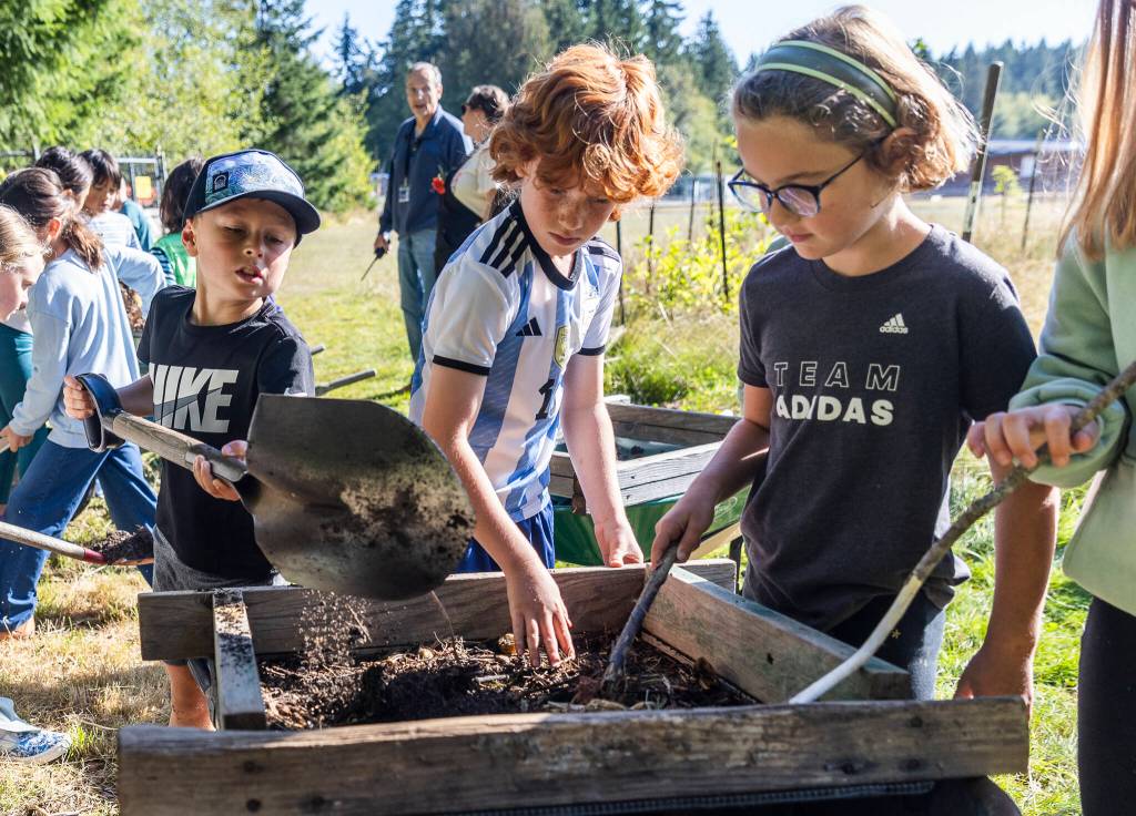 Trenton Sankey dumps compost onto a wire frame for Winston Harper and Blake Bishop to sift the compost during class at South Whidbey Elementary School on Sept. 22, 2025, in Langley, Washington. (Olivia Vanni / The Herald)