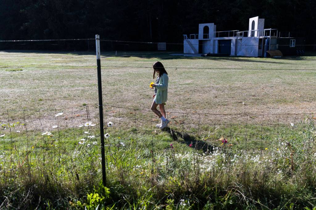 A student walks with fresh cut flowers during class at South Whidbey Elementary School on Sept. 22, 2025 in Langley, Washington. (Olivia Vanni / The Herald)