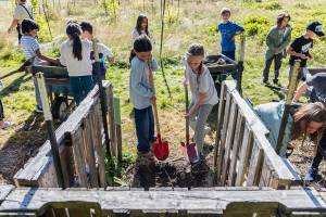 Ashley Tawes and Sydney McNeil shovel compost to be sifted into wheelbarrows during class at South Whidbey Elementary School on Sept. 22, 2025 in Langley, Washington. (Olivia Vanni / The Herald)