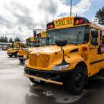 A row of buses sit in an Everett Public Schools lot Wednesday in Everett. Members of the Teamsters Local 38 are in disagreement with Durham School Services over its latest contract. (Aaron Kennedy / The Herald)