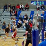 Archbishop Murphy senior Emma Morgan-McAuliff (12) jumps up to hit the ball during the Wildcats 3-0 win against Shorewood at Shorewood High School on Oct. 2, 2025. (Joe Pohoryles / The Herald)
