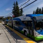 Two Swift Orange Line buses waits at the Edmonds College Transit Center on Friday, Aug. 1, 2025 in Lynnwood, Washington. (Olivia Vanni / The Herald)