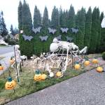 The 12-foot skeleton in the Irwin familys skeleton army display after it was knocked down on Oct. 10, 2025, in Everett, Washington. (Paul Irwin)