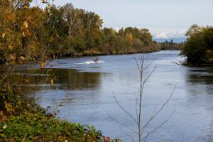 A boat navigates the Snohomish River near the Lowell Riverfront Trail on Oct. 21, 2025 in Everett, Washington. (Olivia Vanni / The Herald)