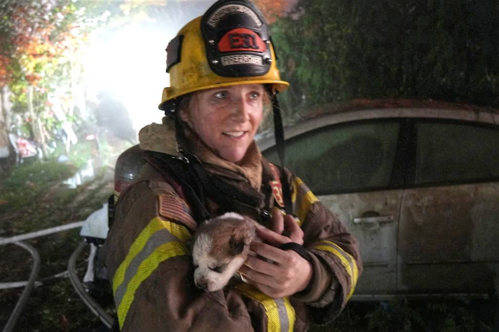 Firefighters rescue six husky puppies and two adult huskies from an early morning house fire on Tuesday in Monroe. (Snohomish Regional Fire and Rescue)