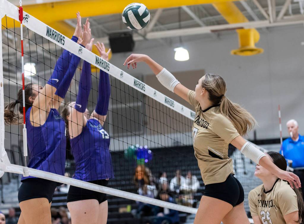 Lynnwoods Evelyn Hall spikes the ball over the net during the game against Edmonds-Woodway on Oct. 29, 2025 in Edmonds, Washington. (Olivia Vanni / The Herald)
