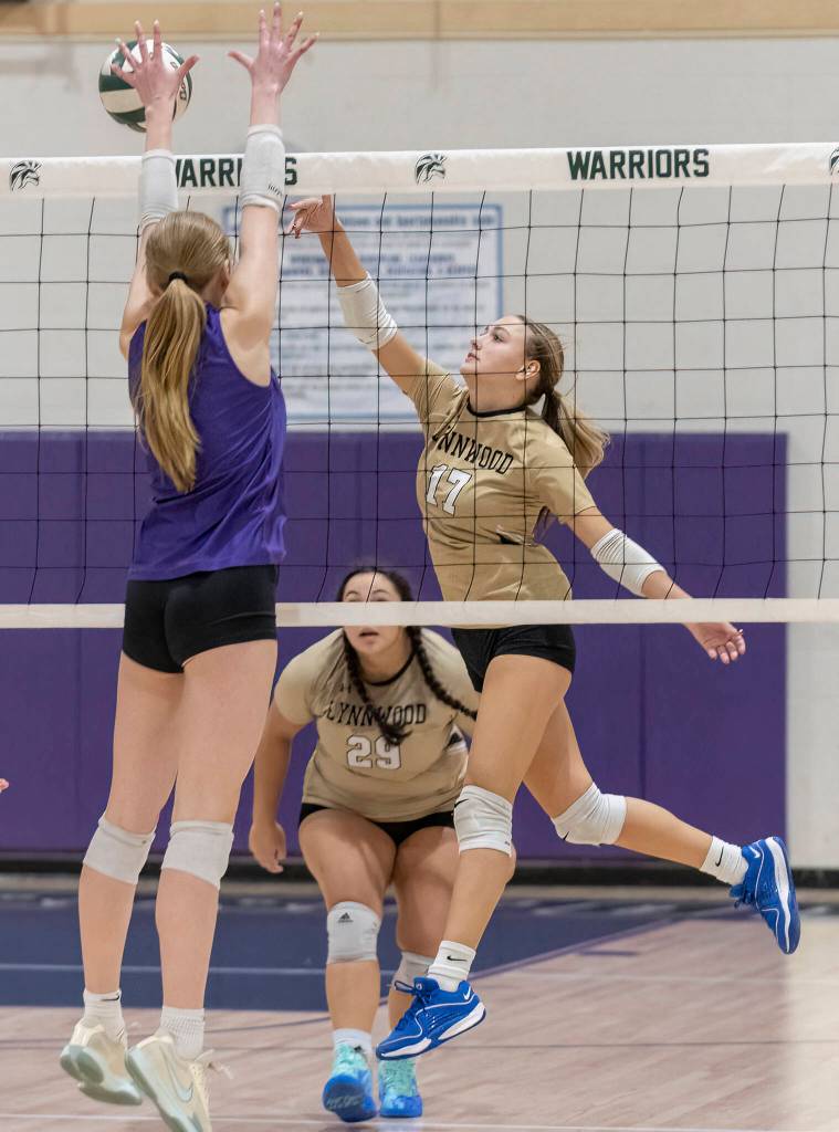 Lynnwoods Evelyn Hall spikes the ball over the top of the net during the game against Edmonds-Woodway on Oct. 29, 2025 in Edmonds, Washington. (Olivia Vanni / The Herald)