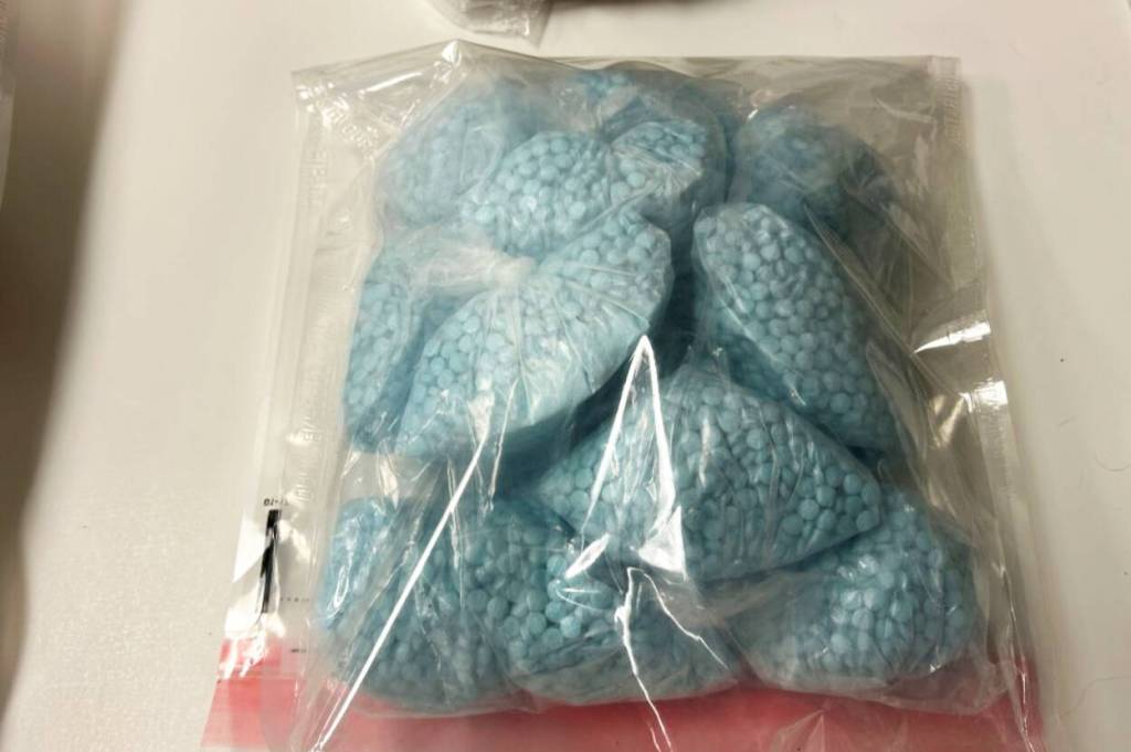 Federal and local law enforcement seized around 100,000 fentanyl pills in a coordinated arrest operationon Tuesday, Oct. 28, 2025, in Washington. (United States Department of Justice)
