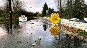 The Lake Stevens outlet channel, also known as Stevens Creek, topped Hartford Drive during record rainfall on Nov. 15. The city is planning to conduct future studies on how to address downtown flooding. (Isabella Breda / The Herald) 20211205