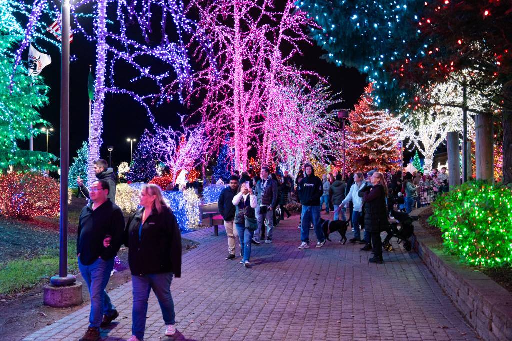 Visitors walk while looking at lights at the Tulalip Lights and Ice event on November 22, 2025 in Tulalip, Washington. (Will Geschke / The Herald)
