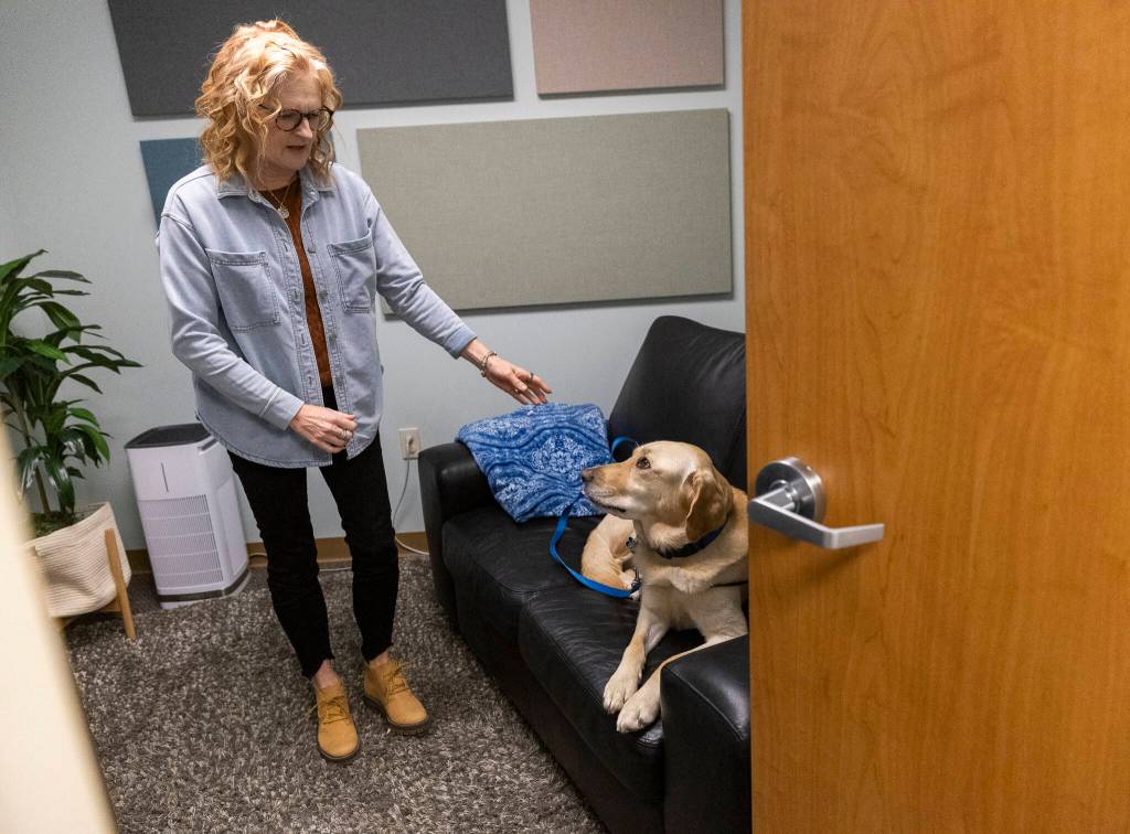 Rosewood, a therapy dog at Dawson Place that works in tandem with Providence Intervention Center, demonstrates how he sits with children during their interviews on Nov. 21, 2025 in Everett, Washington. (Olivia Vanni / The Herald)