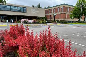 Tuesday's career fair will be at Everett Community College, which incidentally is also one of the participants. (Sue Misao / Herald file)