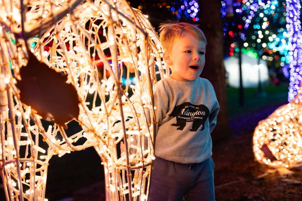 Will Geschke / The Herald
Stratton Atwood, 3, stands next to a reindeer at the Tulalip Lights and Ice event on Saturday in Tulalip.