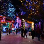 Will Geschke / The Herald
Visitors walk while looking at lights at the Tulalip Lights and Ice event on Saturday in Tulalip.