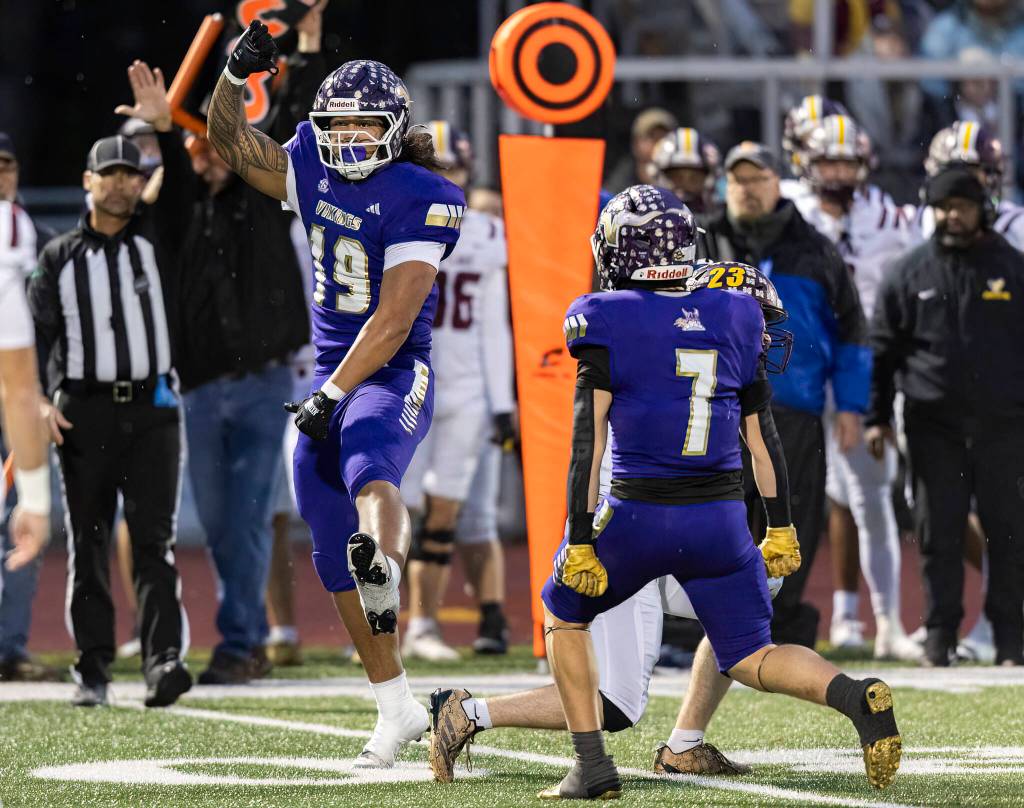 Lake Stevens’ Ty Tautolo celebrates getting stop on fourth down during the 4A state football quarterfinal game against Moses Lake on Nov. 22, 2025 in Lake Stevens, Washington. (Olivia Vanni / The Herald)