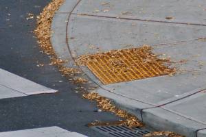 Thanks to the ADA, curb ramps have gentler slopes and road crossings that beep or click. (Herald file)