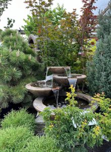 Our Evergreen State of Washington filled with native conifers like Douglas Fir, Western Hemlock and Red Cedar, among others. (Sunnyside Nursery)
