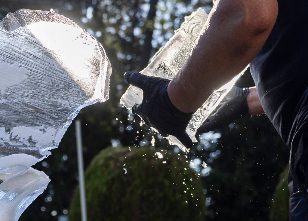 Water falls off a large piece of ice Kitburi picks up from his sculpture to move to the fridge to keep cold for later on Sept. 17, 2025 in Marysville, Washington. (Olivia Vanni / The Herald)