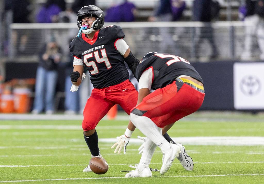 Archbishop Murphys Logan Fryberg celebrates a sack while Archbishop Murphys William Wilson picks up the loose ball during the 2A state championship game against Tumwater at Husky Stadium on Saturday, Dec. 6, 2025 in Seattle, Washington. (Olivia Vanni / The Herald)