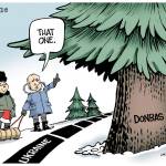 toon
