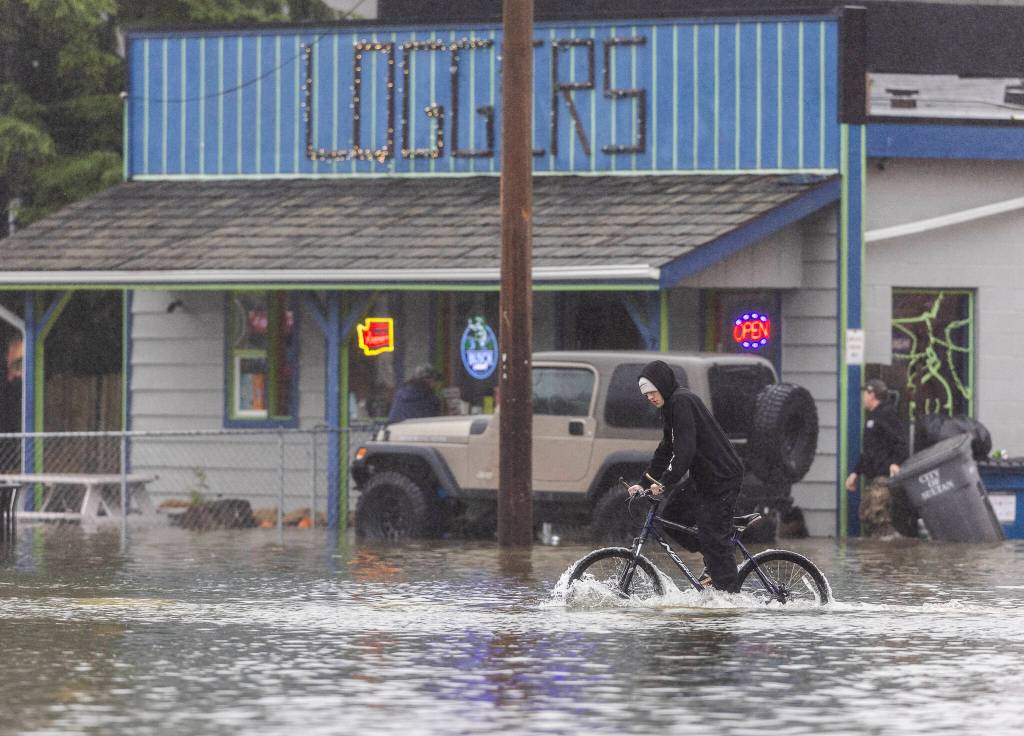 A cyclist tries to navigate floodwater from the Skykomish River covering a section of Main Street on Wednesday, Dec. 10, 2025 in Sultan, Washington. (Olivia Vanni / The Herald)