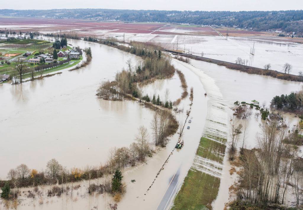 Water from the Snohomish River covers Lowell Snohomish River Road and inundates properties to the west on Thursday, Dec. 11, 2025 in Snohomish, Washington. (Olivia Vanni / The Herald)